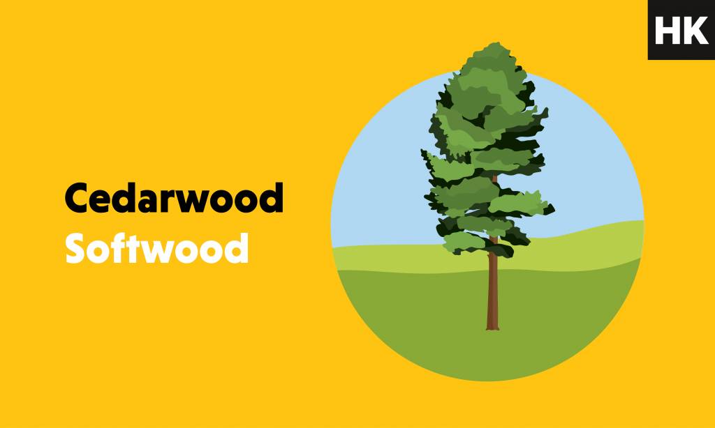 Cedarwood