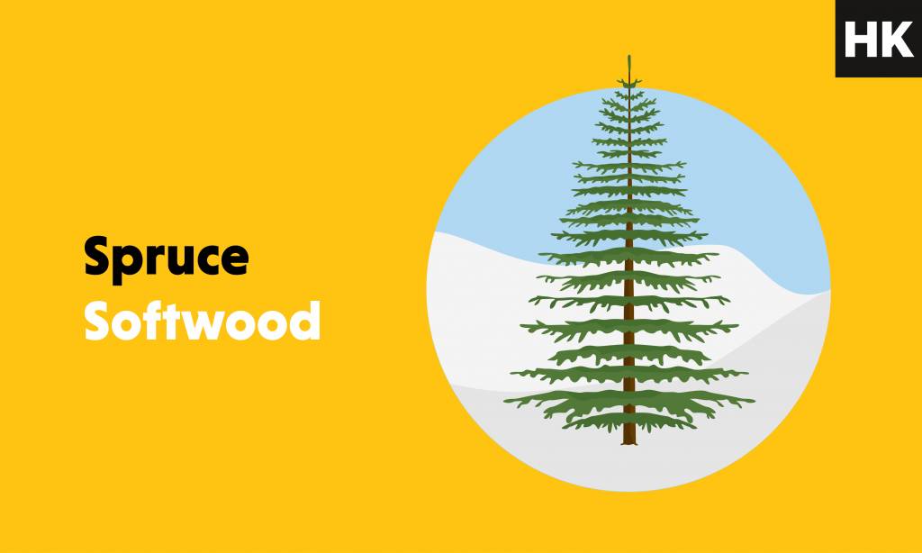 Spruce wood